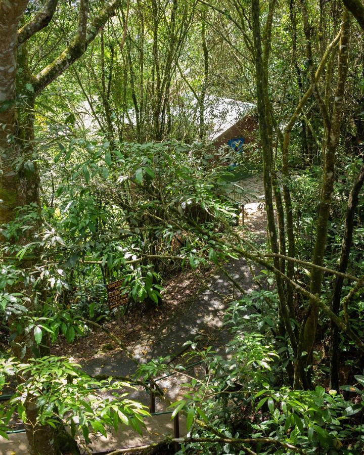 Cabanas El Bosque Turrialba Exterior foto