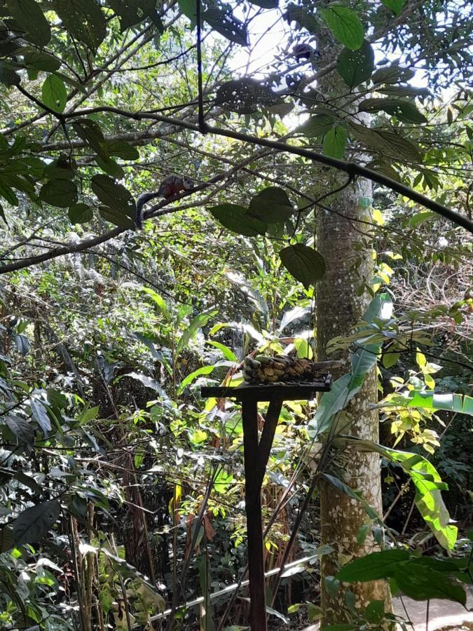 Cabanas El Bosque Turrialba Exterior foto