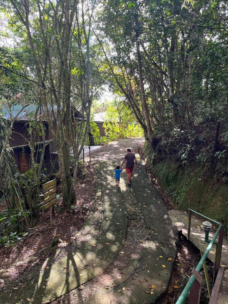 Cabanas El Bosque Turrialba Exterior foto